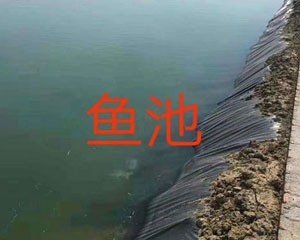 魚池防滲膜